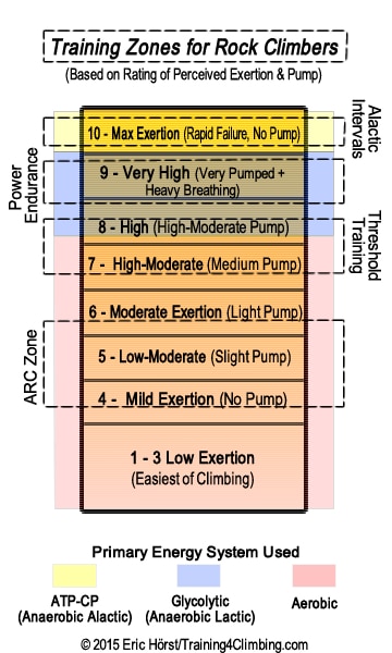 Home Gym Exercise Chart Free Download