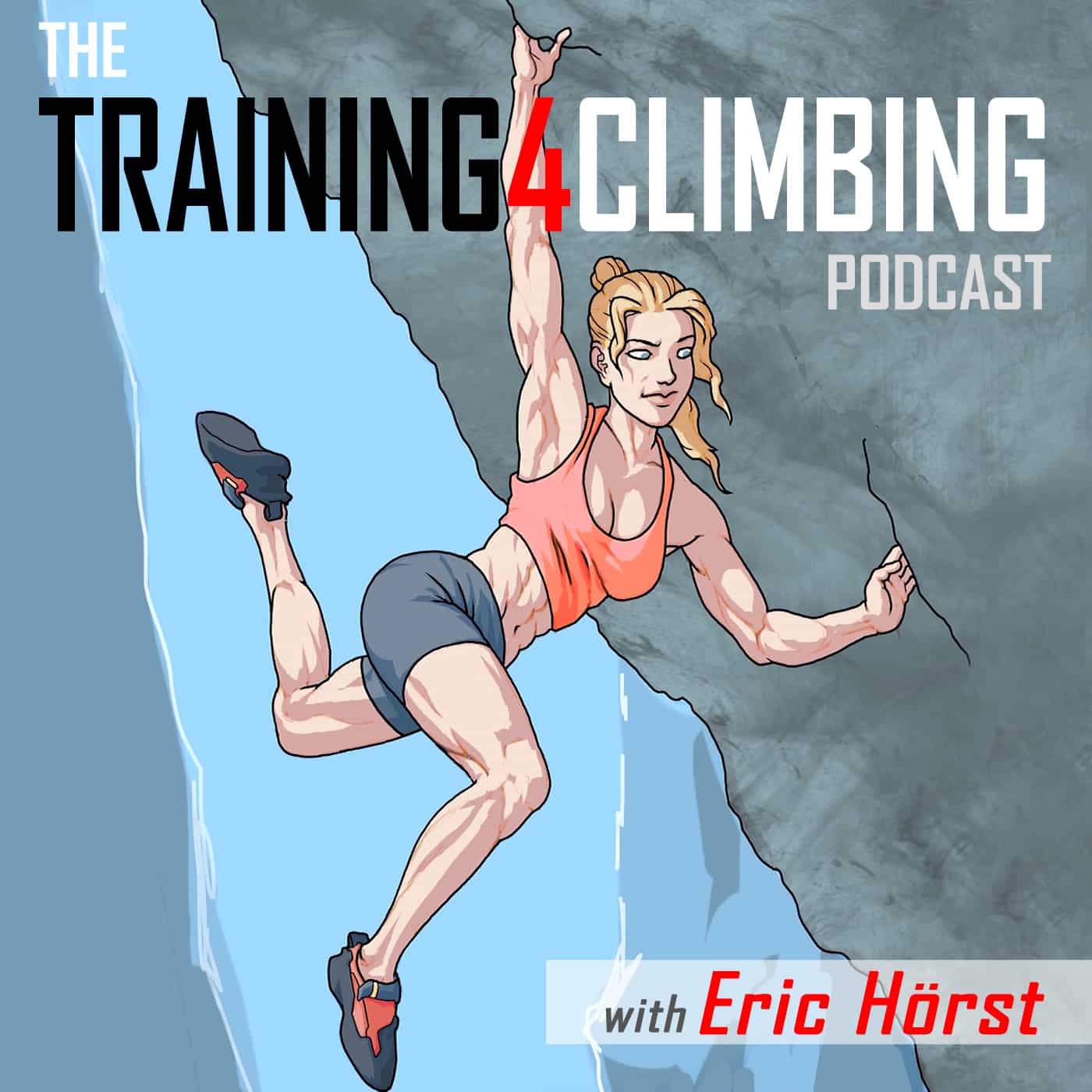 Podcast #42: An “Intelligent System” Approach to Training and Goal Pursuit