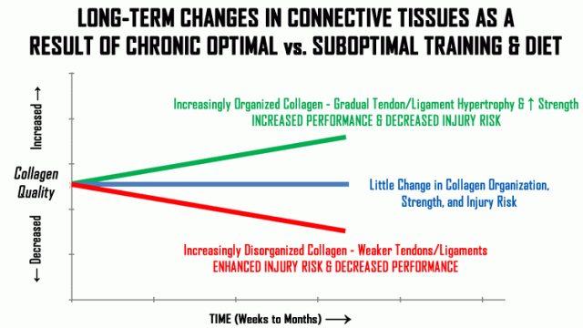 collagen quality among athletes