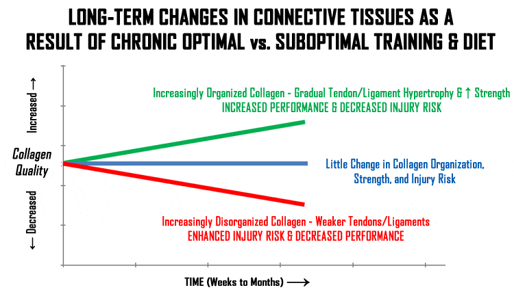 collagen quality among athletes