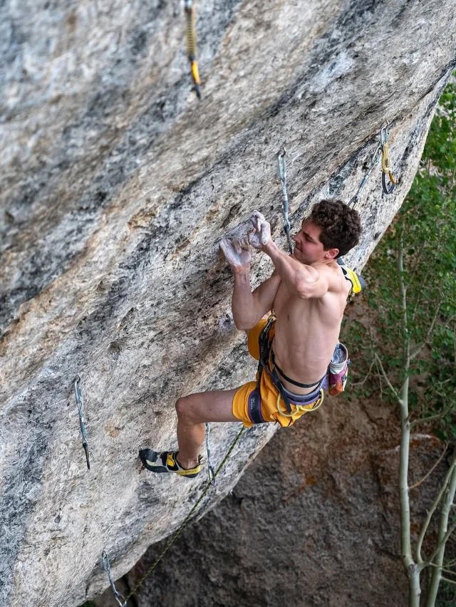 Mutation 14d/9a ✅

In Jonathan’s word, 

“Oh man this one means a lot and there couldn’t have been a more meaningful first 9a. I’ve climbed in Lander for over a decade and on and off this wall for 5 years, always with the goal of doing the mega link since watching @bjtilden FA it years before, then belaying @cam_horst during his battle with it. After a heartbreaking summer 2 years ago where I fell off the last move a dozen+ times, I took last year off to clear my head hoping this year it would come together. 

Surprisingly it went down, despite the mental battle debating if I was fit enough following months of style diversification on big walls/trad climbing and a ton of route development back east. After nearly a month priming myself at the point I came back to the Rodeo Wave and had some promising low points and goes getting to the last move again the day before. All that built the psych and the conditions did me a favor with one of the better days I’ve felt at the Iris. 

Somehow I managed to feel better than ever and sent without too much of a fight. Man I love climbing. Heaviest 9a ascent 🤔? Thanks to everyone who was part of the process and the man upstairs. Uncut video soon.”
.
📸 1&3 @ray_wood (2023)
📸 2&4 @dantbaum (2025)
🪢 @jerrrrbs & @cam_horst on the belay
.
#climb #climbing #wyoming #physivantage #climbing_photos_of_instagram #sending #godscountry